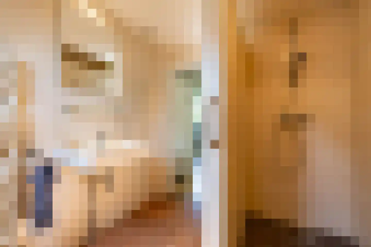 Het Rocht 57 Vries thumbnail 24