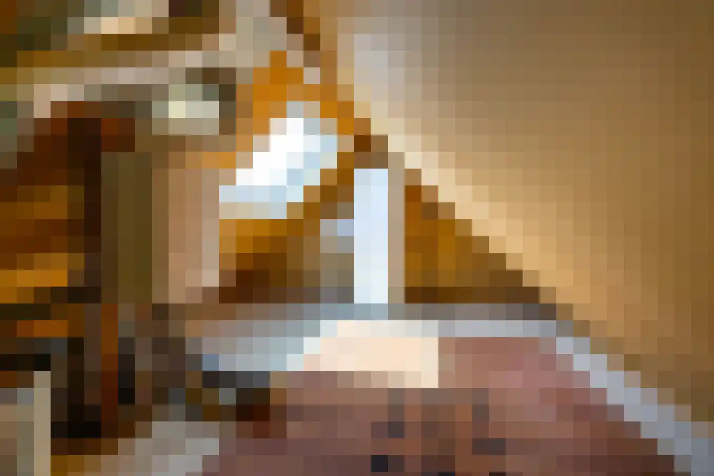 Het Rocht 57 Vries thumbnail 29