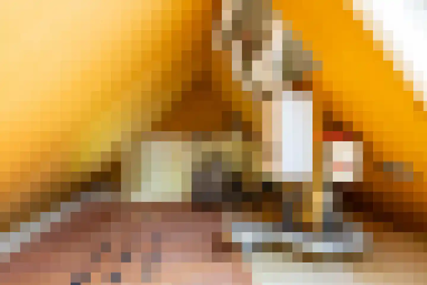 Het Rocht 57 Vries thumbnail 30