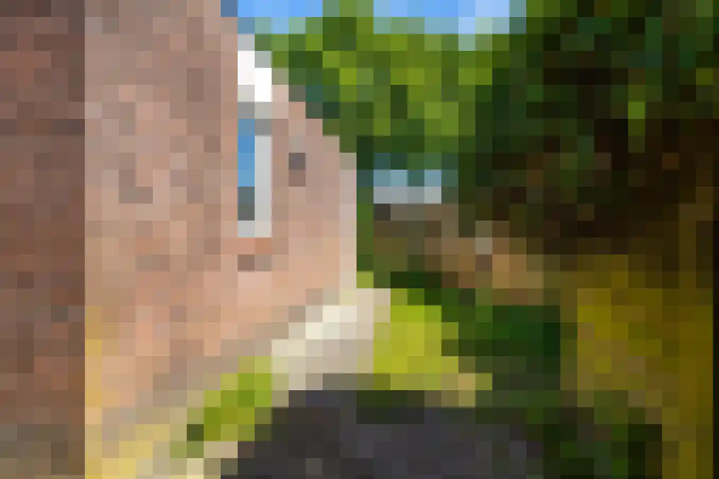 Het Rocht 57 Vries thumbnail 35