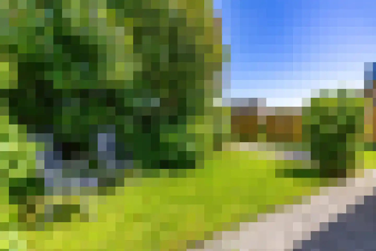 Het Rocht 57 Vries thumbnail 37