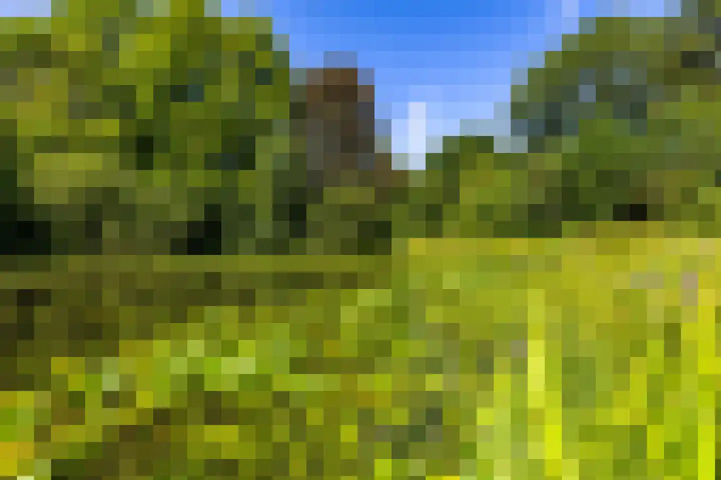 Het Rocht 57 Vries thumbnail 38