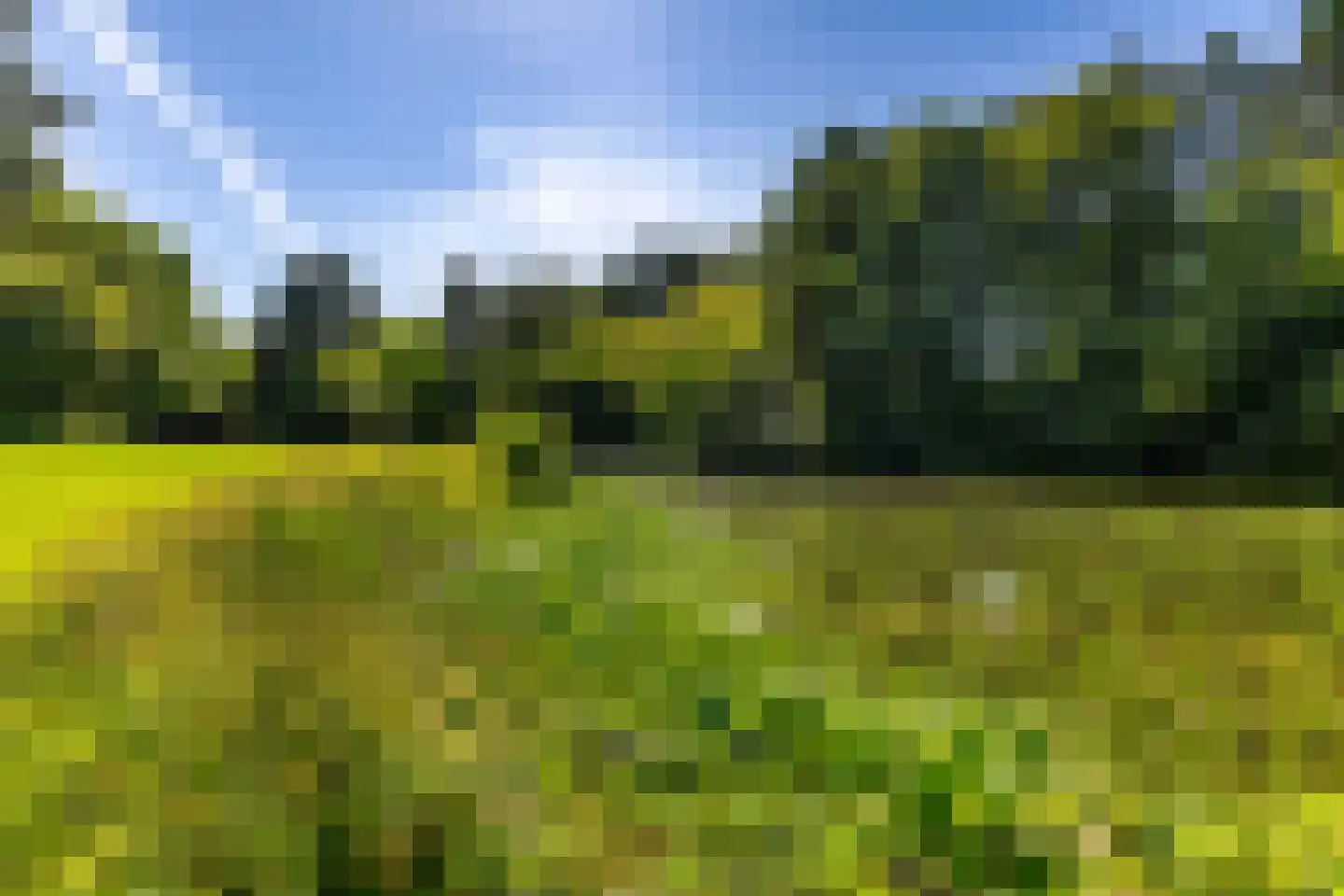 Het Rocht 57 Vries thumbnail 39
