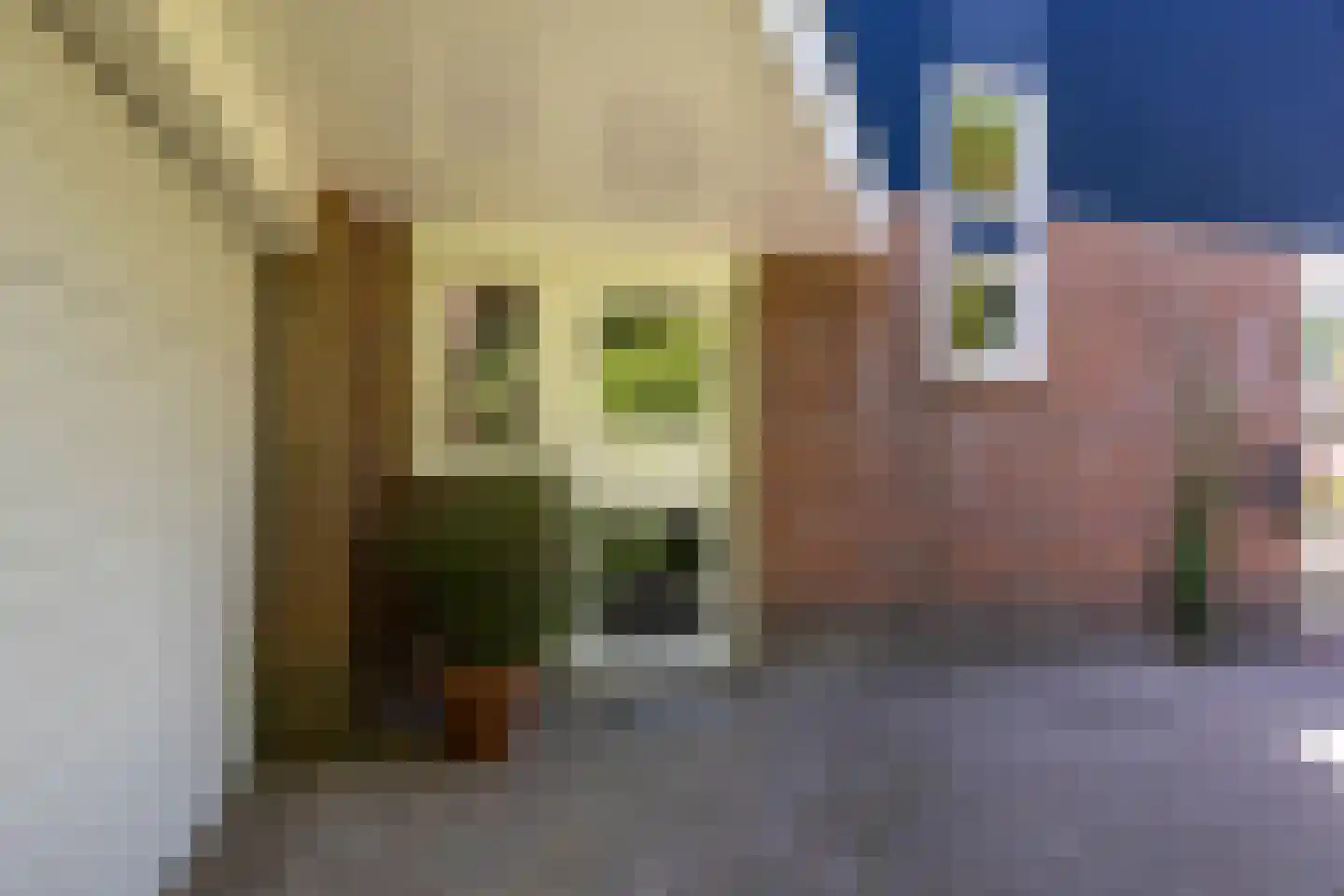 Het Rocht 57 Vries thumbnail 5