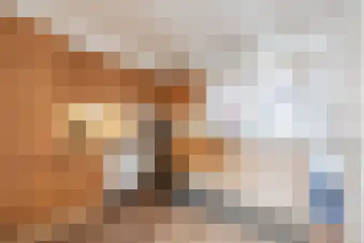 Het Roefje 18 Hoogeveen thumbnail 10
