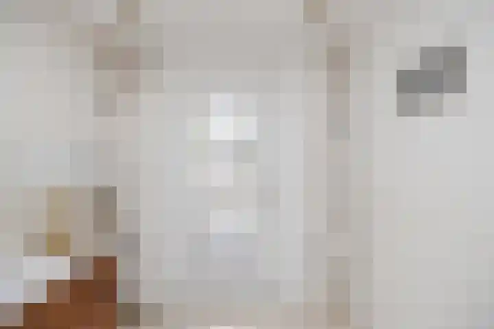 Het Roefje 18 Hoogeveen thumbnail 20