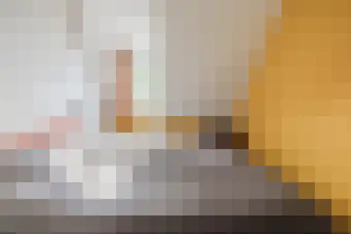 Het Roefje 18 Hoogeveen thumbnail 23