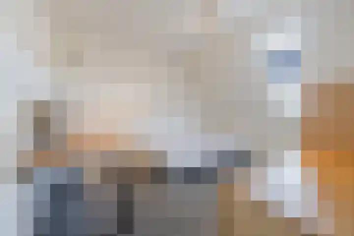 Het Roefje 18 Hoogeveen thumbnail 25