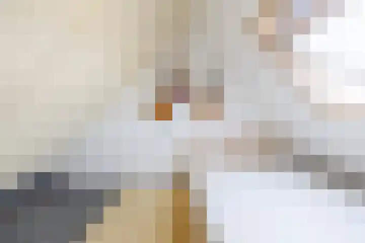 Het Roefje 18 Hoogeveen thumbnail 28