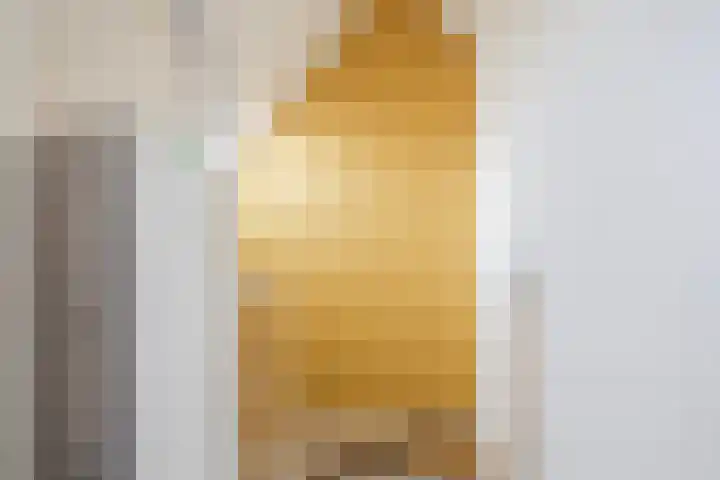 Het Roefje 18 Hoogeveen thumbnail 30