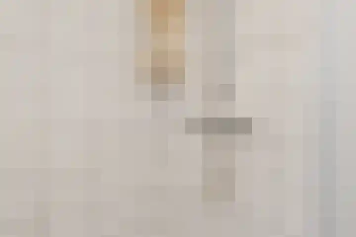 Het Roefje 18 Hoogeveen thumbnail 37