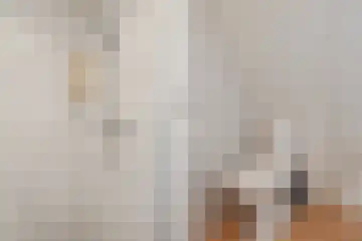 Het Roefje 18 Hoogeveen thumbnail 39