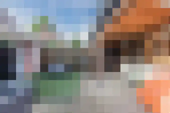 Het Roefje 18 Hoogeveen thumbnail 41