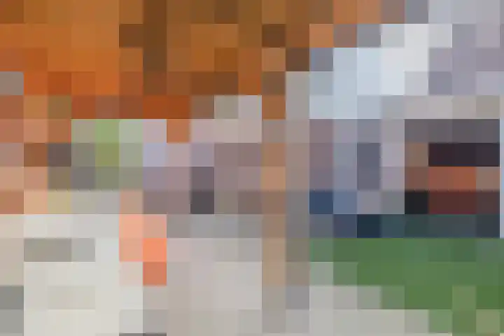 Het Roefje 18 Hoogeveen thumbnail 42