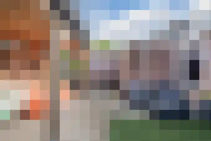 Het Roefje 18 Hoogeveen thumbnail 43
