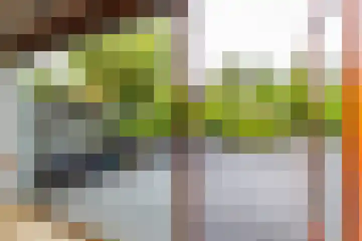 Het Roege Bos 11 Groningen thumbnail 20