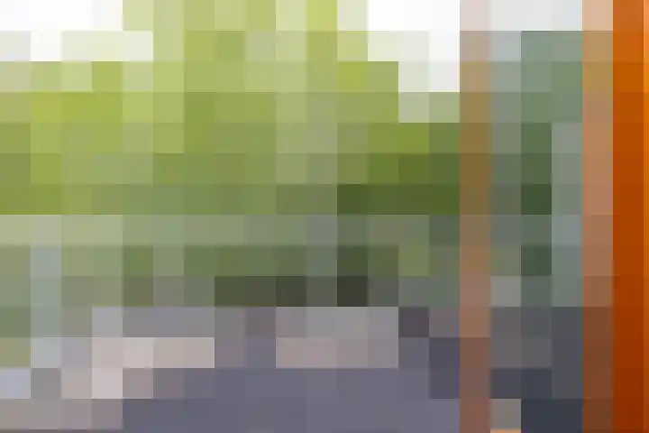 Het Roege Bos 11 Groningen thumbnail 39