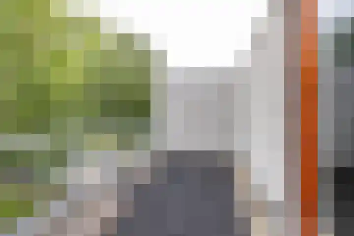 Het Roege Bos 11 Groningen thumbnail 40