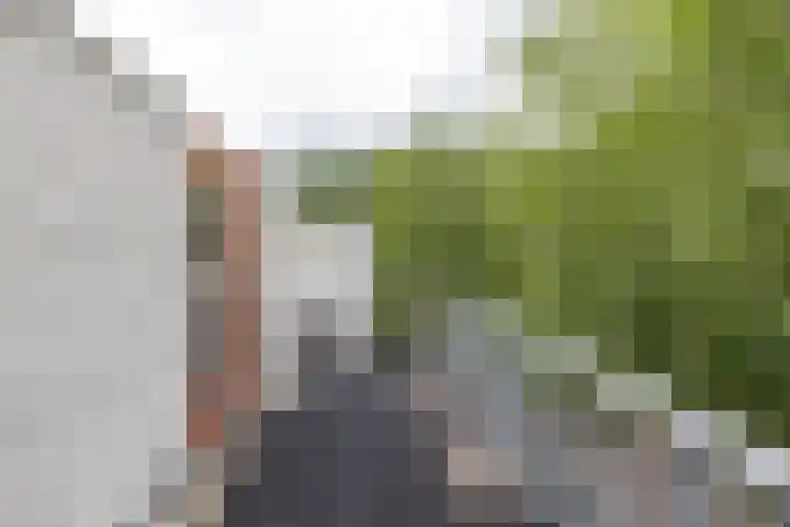 Het Roege Bos 11 Groningen thumbnail 41