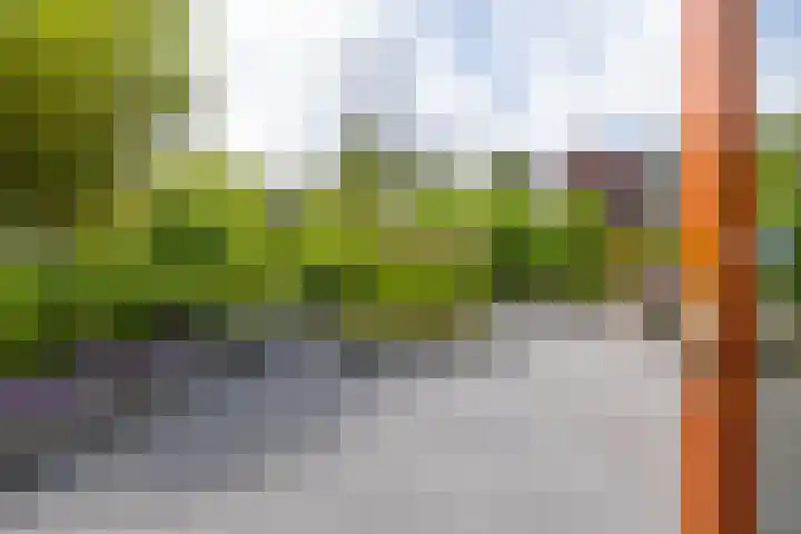 Het Roege Bos 11 Groningen thumbnail 42
