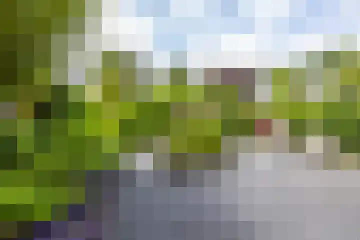 Het Roege Bos 11 Groningen thumbnail 44