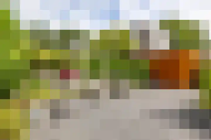 Het Roege Bos 11 Groningen thumbnail 45
