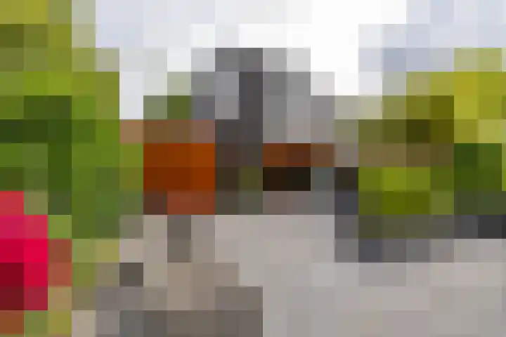 Het Roege Bos 11 Groningen thumbnail 46
