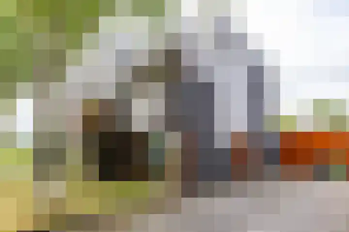 Het Roege Bos 11 Groningen thumbnail 47