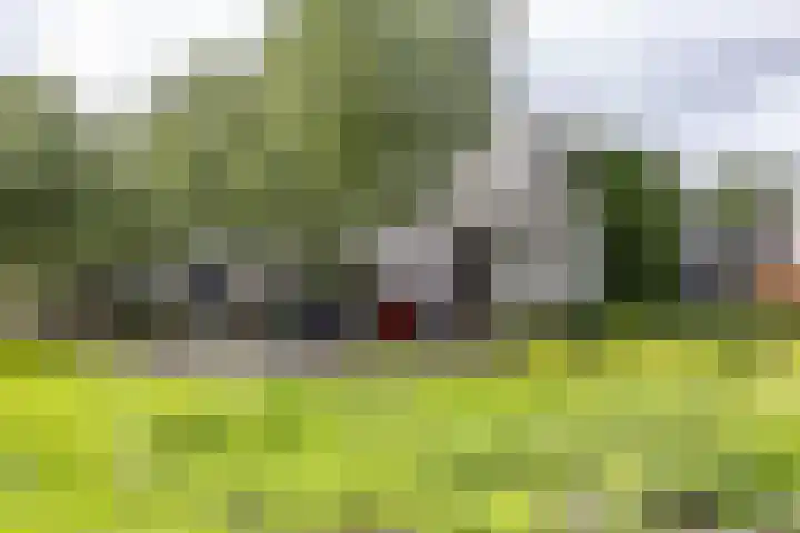 Het Roege Bos 11 Groningen thumbnail 50