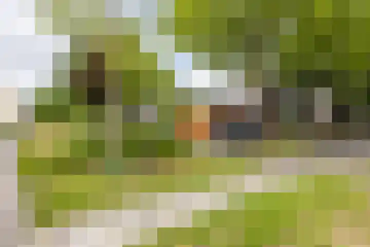 Het Roege Bos 11 Groningen thumbnail 51
