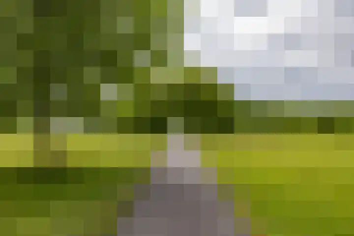 Het Roege Bos 11 Groningen thumbnail 52