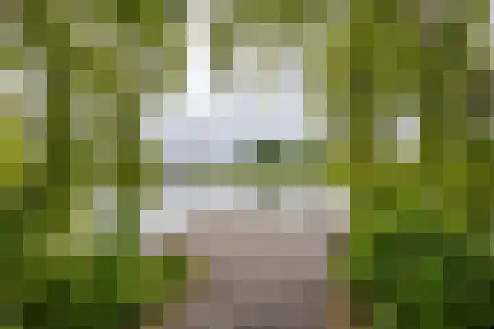 Het Roege Bos 11 Groningen thumbnail 53