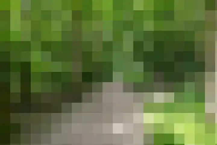 Het Roege Bos 11 Groningen thumbnail 54