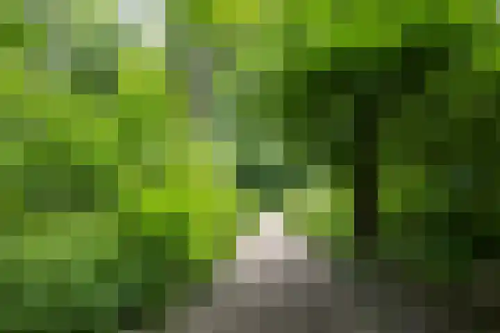 Het Roege Bos 11 Groningen thumbnail 55