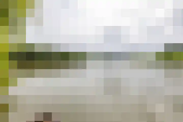 Het Roege Bos 11 Groningen thumbnail 56