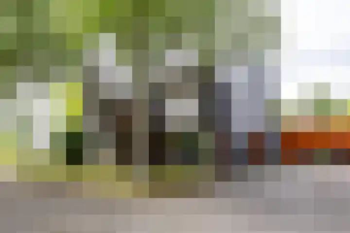 Het Roege Bos 11 Groningen thumbnail 61