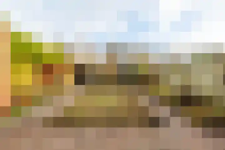 Het Roege Bos 30 Groningen thumbnail 17