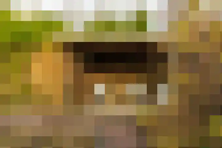 Het Roege Bos 30 Groningen thumbnail 18