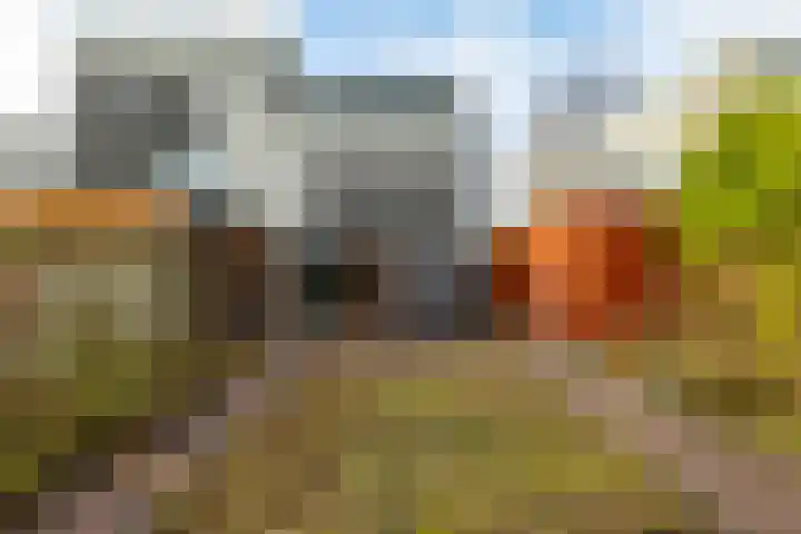 Het Roege Bos 30 Groningen thumbnail 19
