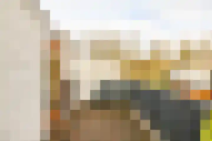 Het Roege Bos 30 Groningen thumbnail 36