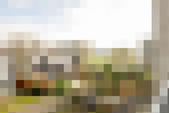 Het Roege Bos 30 Groningen thumbnail 38
