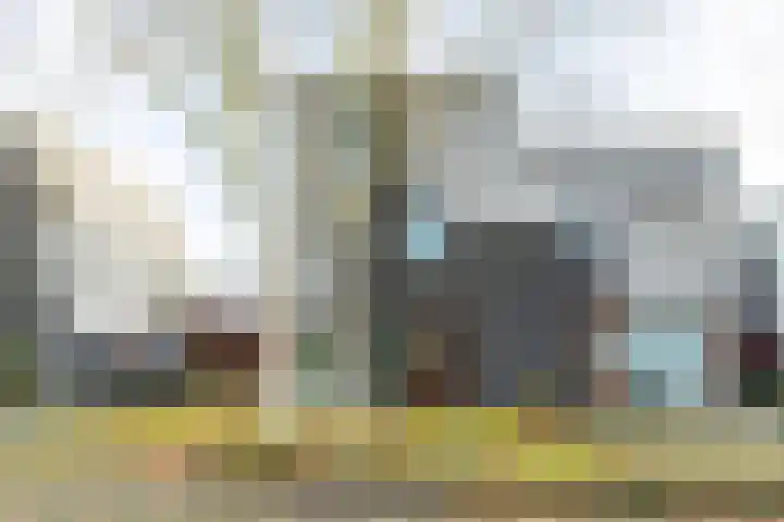 Het Roege Bos 30 Groningen thumbnail 43