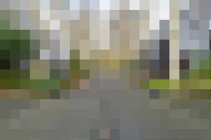 Het Roege Bos 30 Groningen thumbnail 44