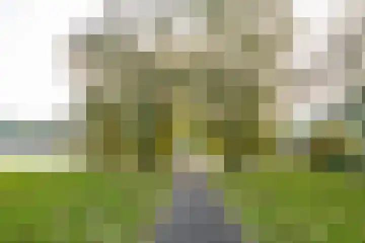 Het Roege Bos 30 Groningen thumbnail 46