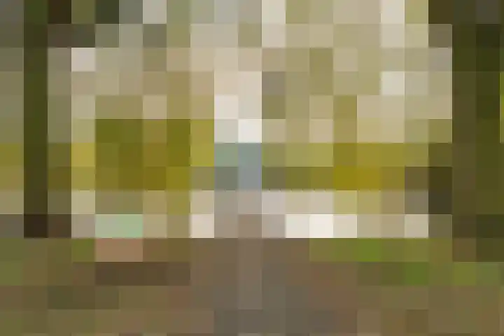 Het Roege Bos 30 Groningen thumbnail 47