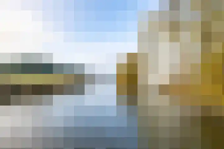 Het Roege Bos 30 Groningen thumbnail 48