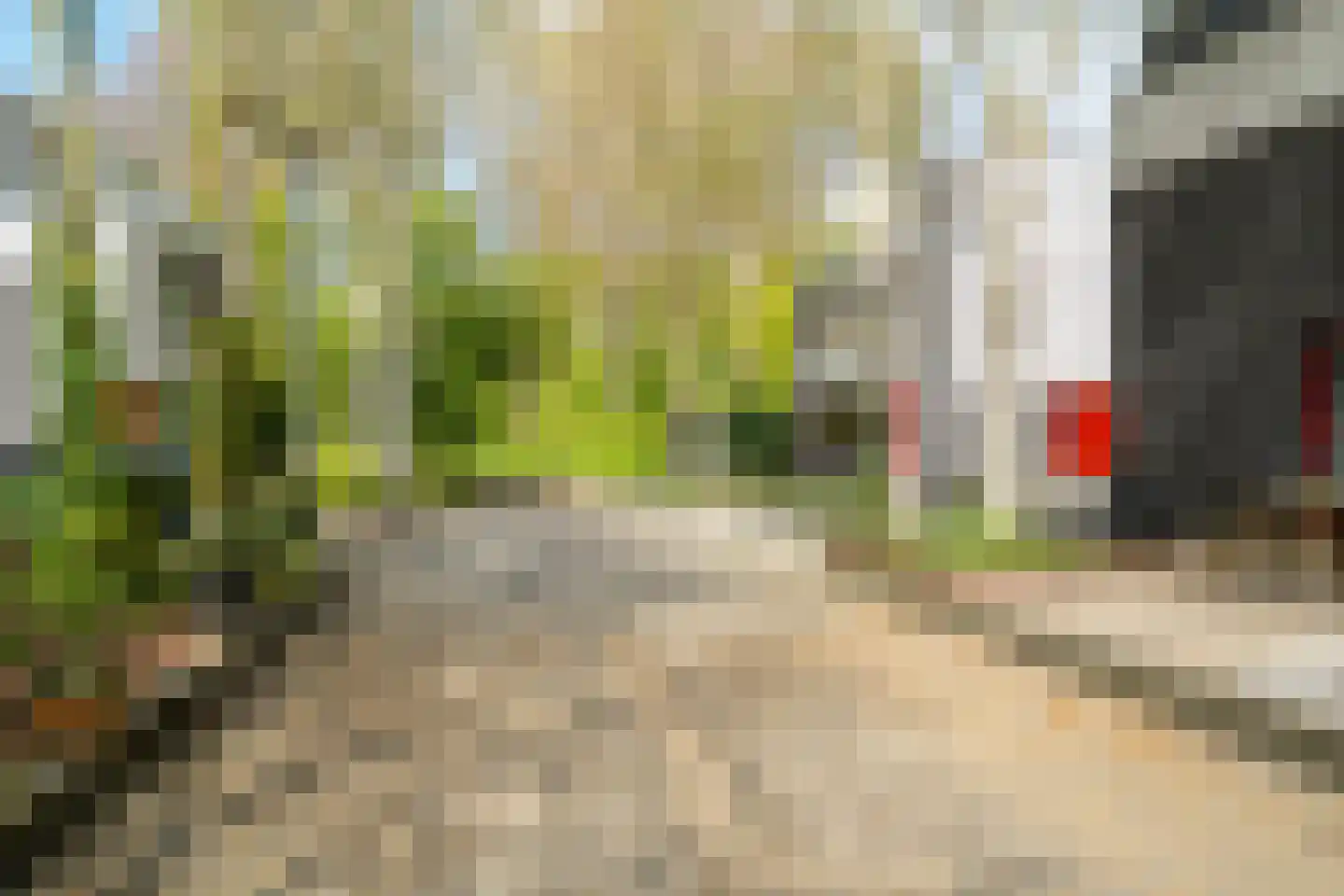 Het Roege Bos 33 Groningen thumbnail 10