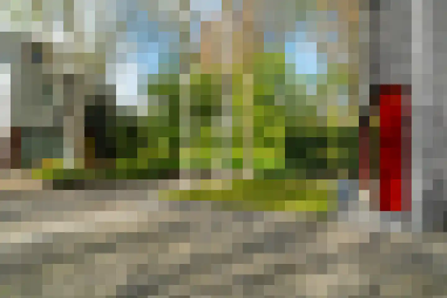 Het Roege Bos 33 Groningen thumbnail 11