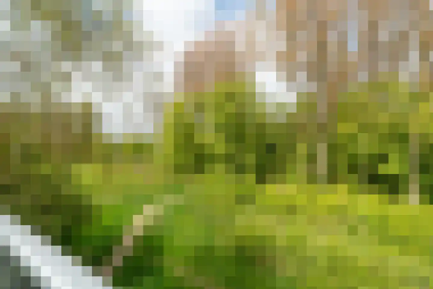 Het Roege Bos 33 Groningen thumbnail 47