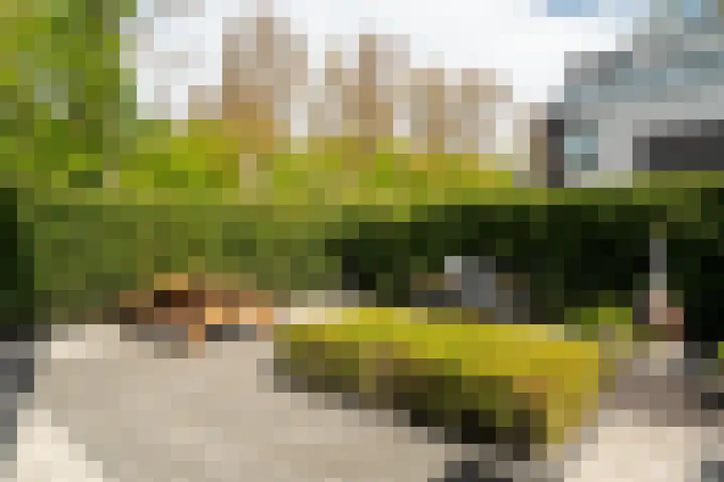 Het Roege Bos 33 Groningen thumbnail 51